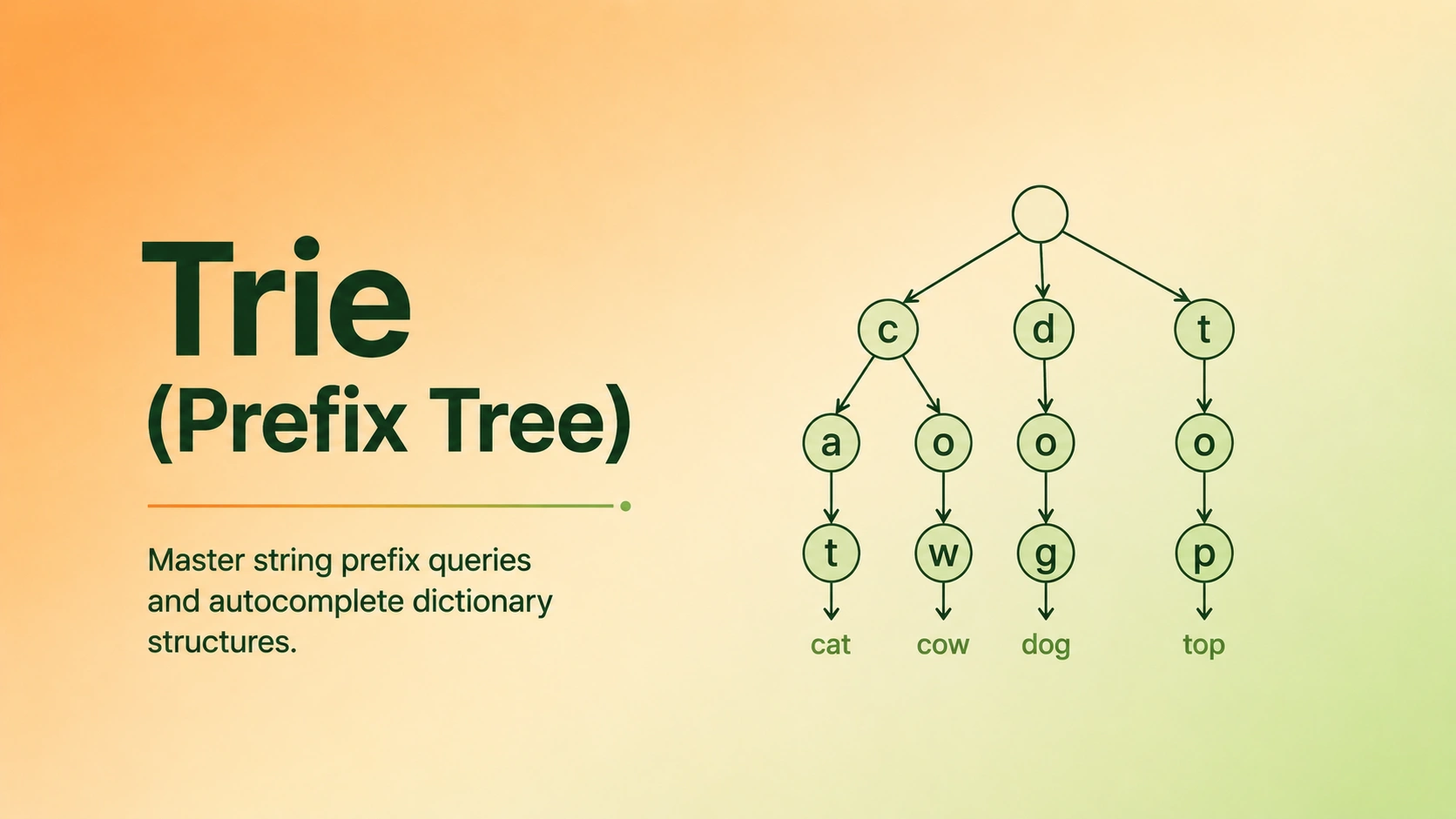 Trie (Prefix Tree) hero